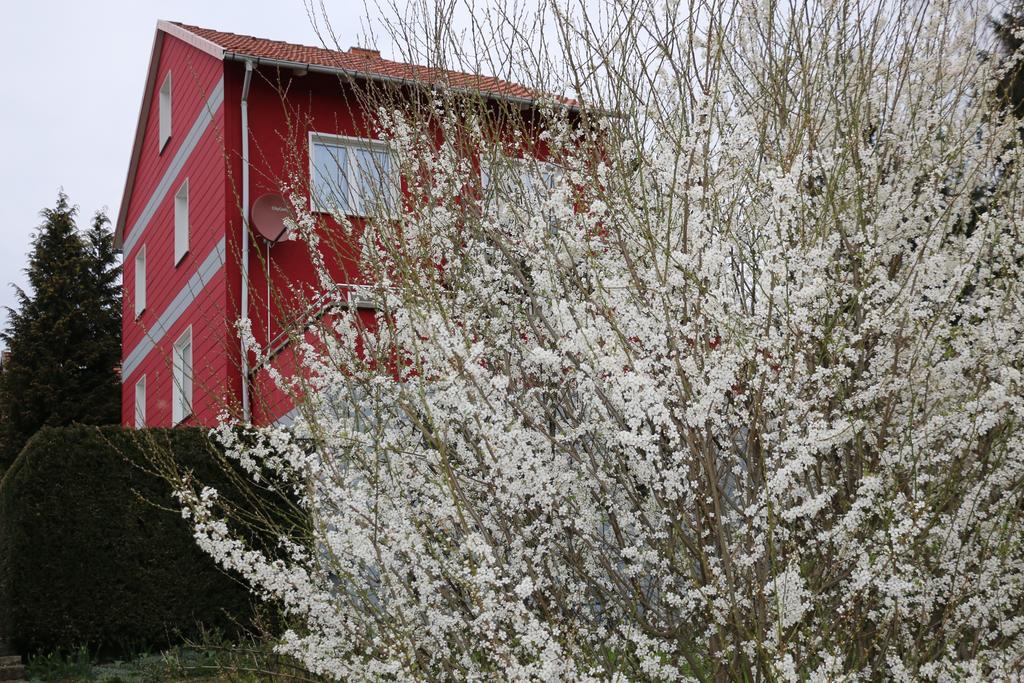 Ferienhaus Sweethome - Eingezaeunter Garten - 3 Hunde Willkommen - Ruhige Sackgasse Bad Sachsa Dış mekan fotoğraf